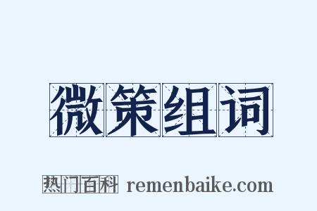 微策组词是什么意思的图片